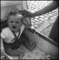 Klicke hier zum vergr��ern
